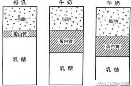 宝宝噗噗噗是不是拉肚子,宝宝腹泻噗噗的声音