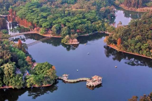 别再跟我说“母鸡”去哪玩！广州48个一日游免费景点推荐！