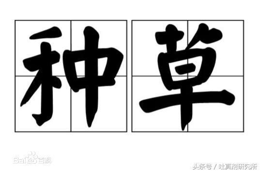 2016年网络流行语汇总,22年网络流行语汇总