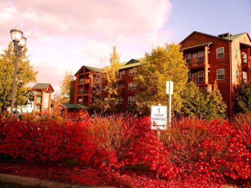 金阳楼盘推荐,金阳片区在售楼盘