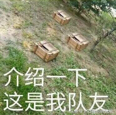 2016年网络流行语汇总,22年网络流行语汇总