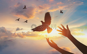 简短诗歌有梦才有远方,散文有梦才有远方全文