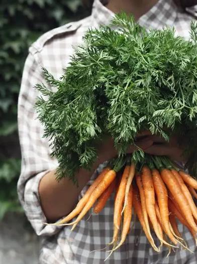 回归田园梦想中的生活,回归田园过上简单生活