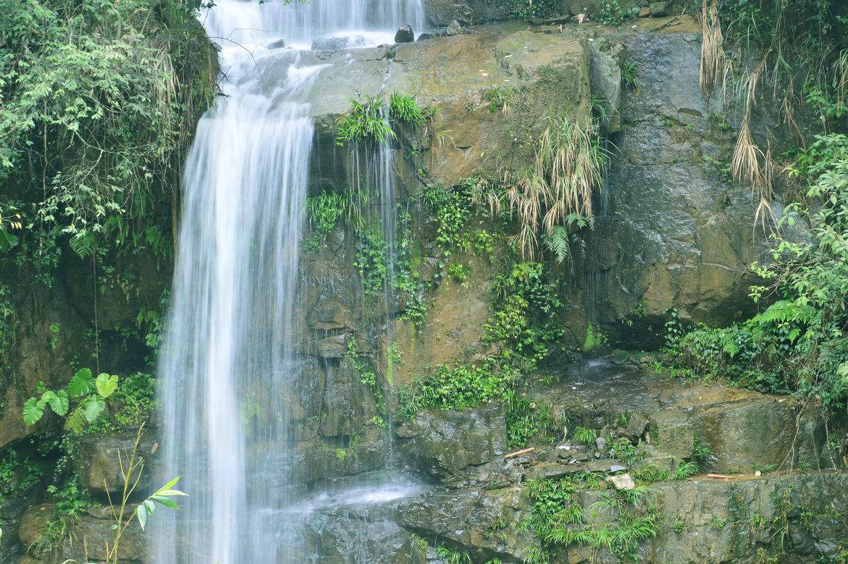 福州森林公园游玩攻略,福州三叠井森林公园徒步