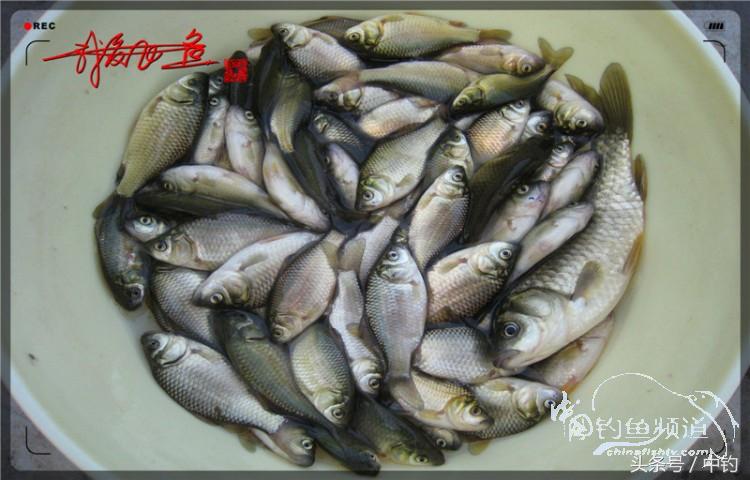 陪伴孩子的野餐,周末家庭式野餐陪伴家人