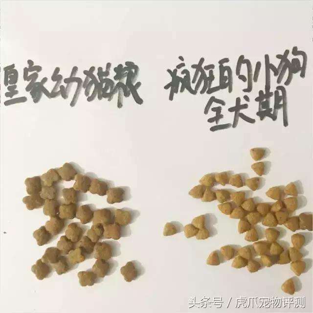 疯狂小狗牌子狗粮属于啥档次,疯狂的小狗和凯锐思哪个狗粮好
