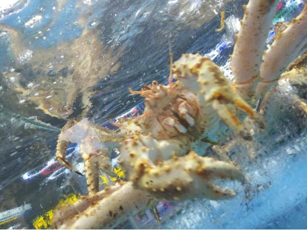 带父母去三亚游玩攻略,爸妈三亚旅游攻略