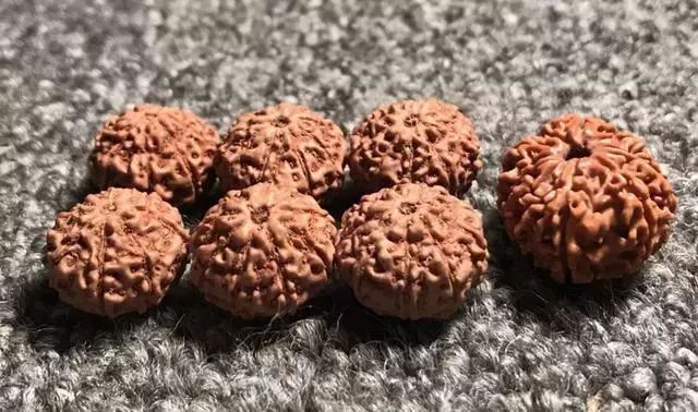 怎样区分打药的金刚菩提,金刚菩提怎么鉴别值钱