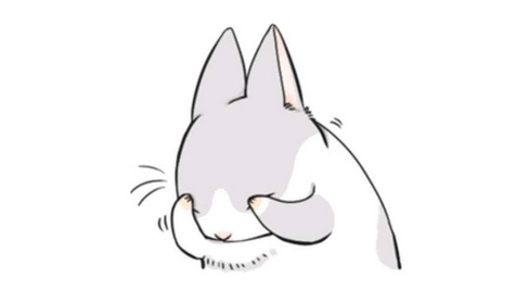 养一只兔子需要做什么,养只兔子做宠物