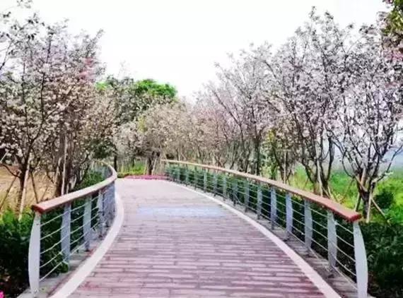 别再跟我说“母鸡”去哪玩！广州48个一日游免费景点推荐！