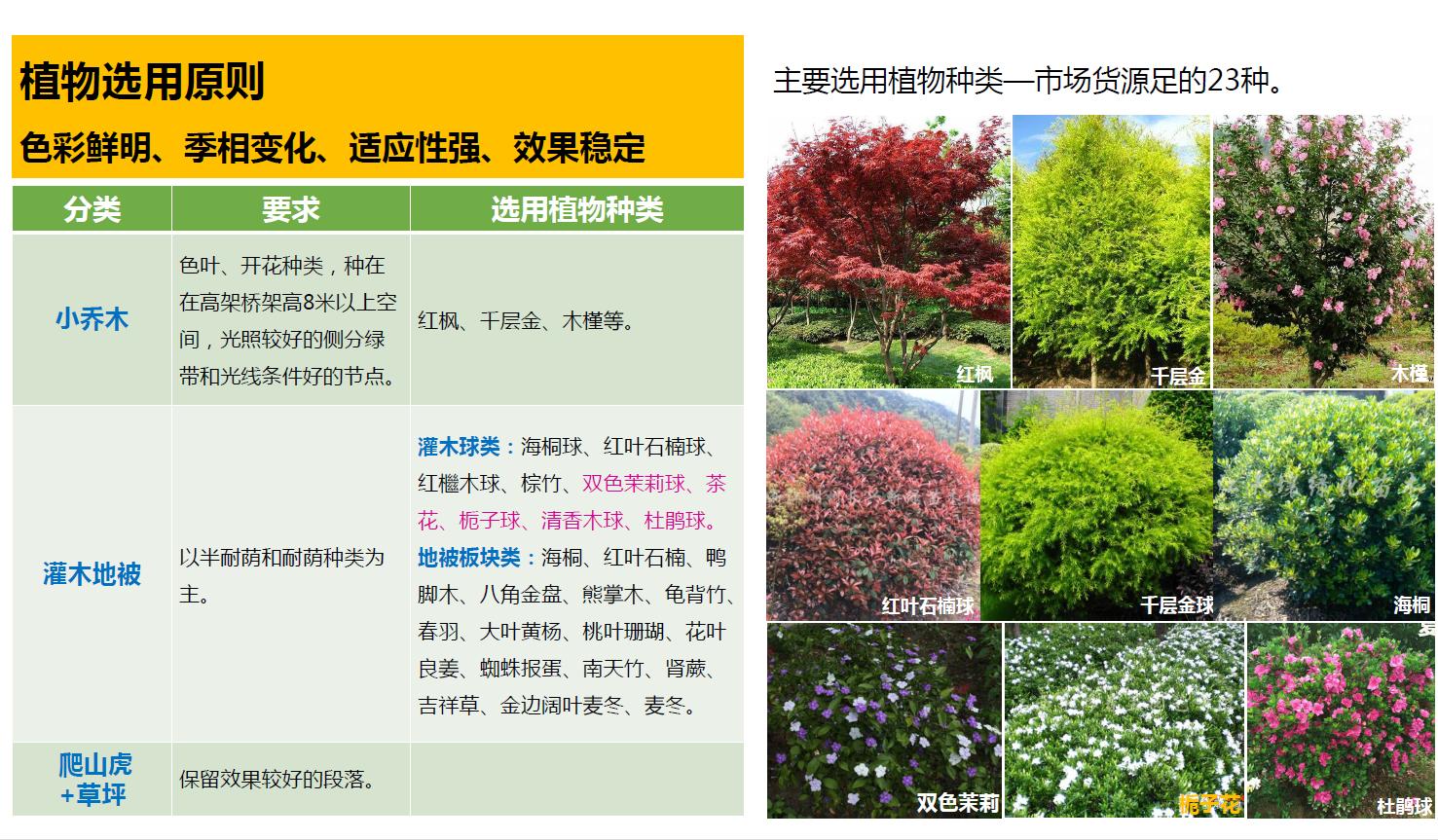 成都二环的发展,成都未来之都在哪里