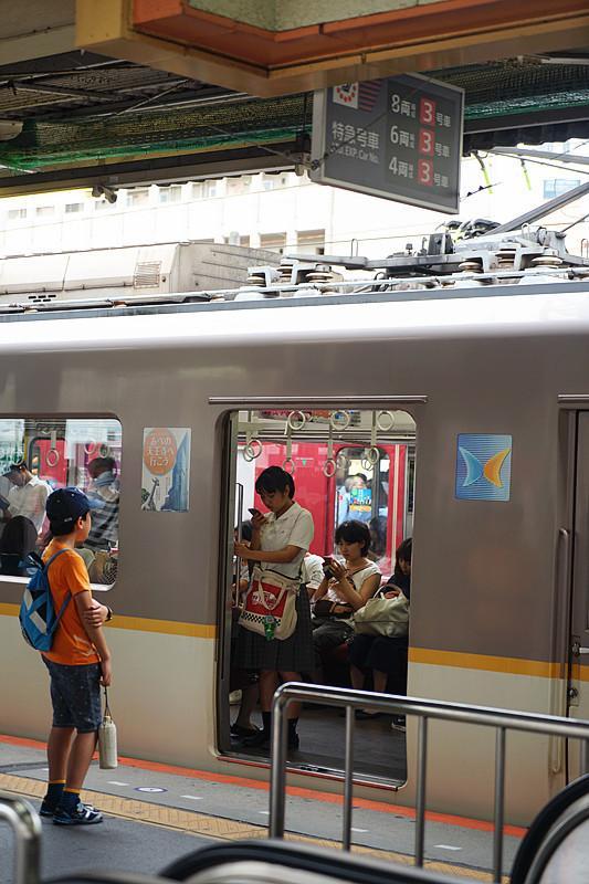 日本关西夏日赏——今夕传媒旅行家出品