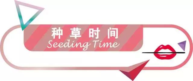 不超过100块钱的平价眼影盘推荐,dior2022春季限定千鸟格眼影盘769