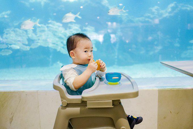 带父母去三亚游玩攻略,爸妈三亚旅游攻略