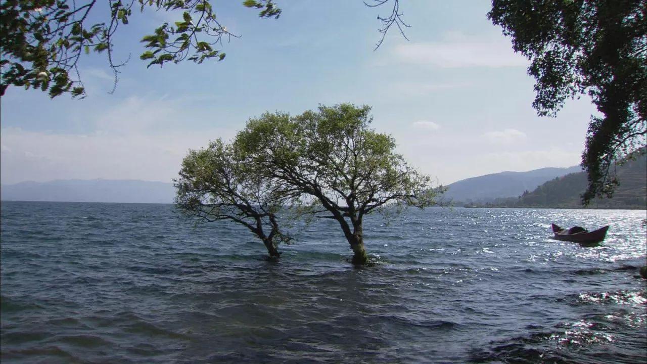 不用网不用钩就能捕到鱼？答案就在这里