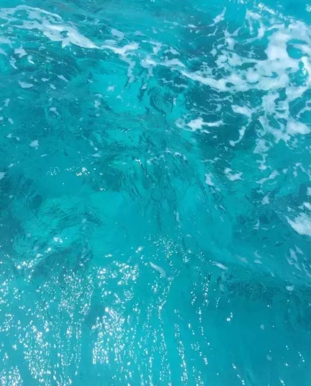 帕劳归来不看海视频,帕劳归来不看海