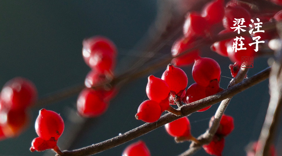 梁冬谈孩子心理 (梁冬该怎么培养孩子)