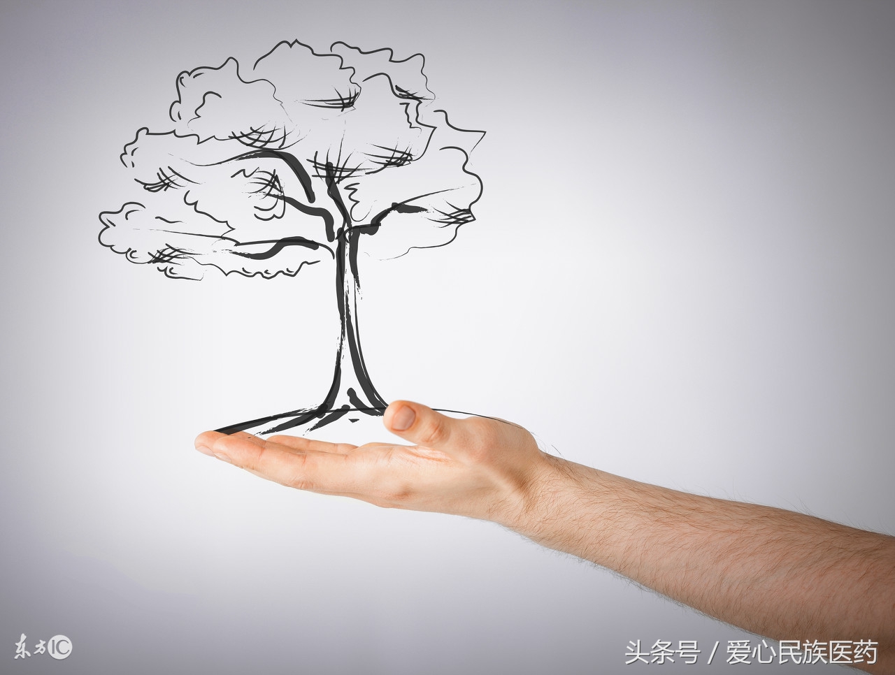 生活中可以解毒的食物,日常饮食中该如何预防食品致癌物