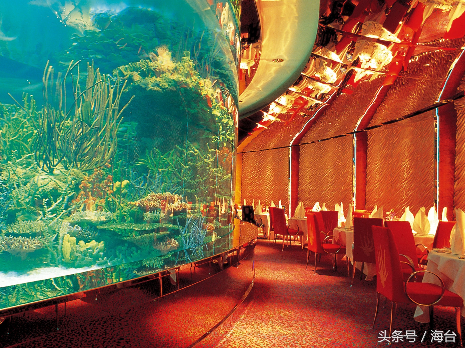 迪拜旅游住哪个酒店最便宜,迪拜顶级酒店体验价格多少