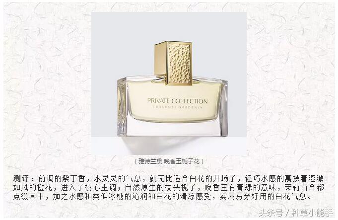 推荐几款无人能敌的香水,平价淑女风香水推荐