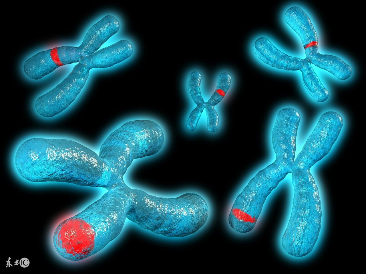 第一例基因治疗改变DNA治罕病!美科学家实验体内基因编辑