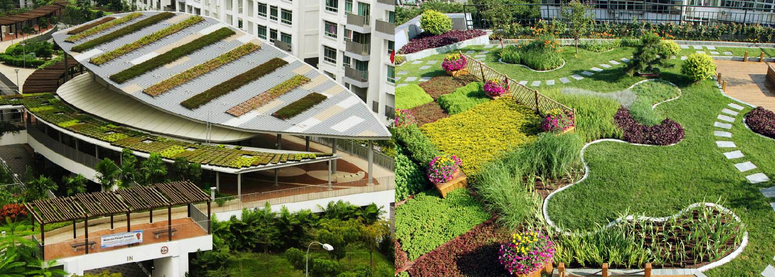 商业建筑屋顶绿化设计说明,绿色建筑屋顶