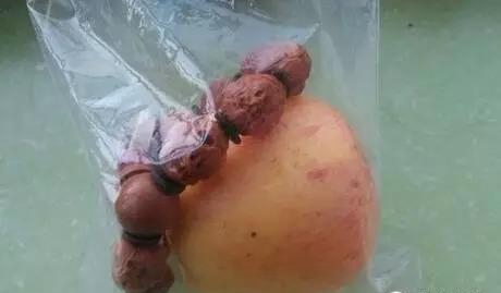 橄榄核雕开裂怎么修复视频,橄榄核雕刻盘玩会裂开