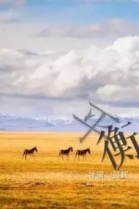 苏州南京杭州七日游,苏州南京上海杭州自由行旅游攻略