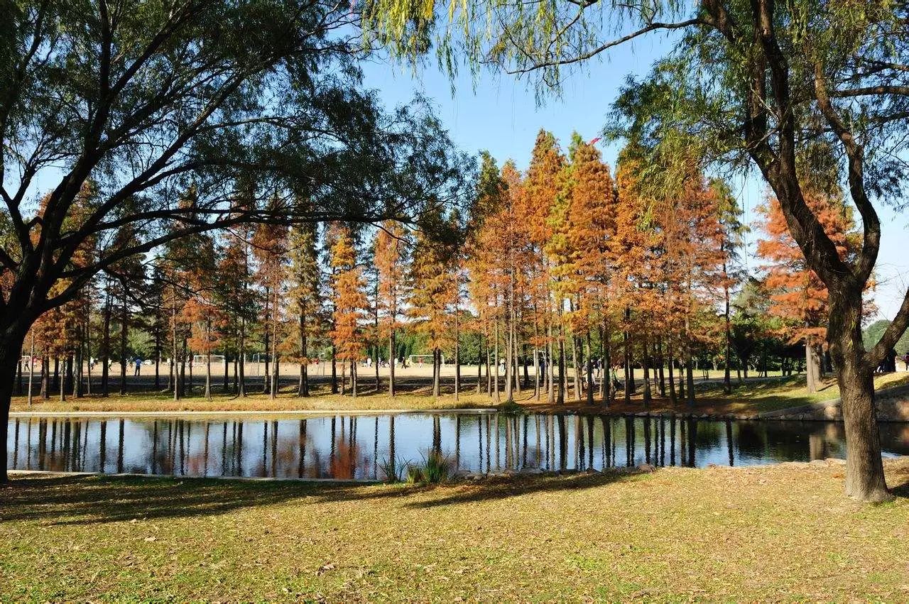 上海各个景点及路线图,上海周边公交车地铁可以到的景点