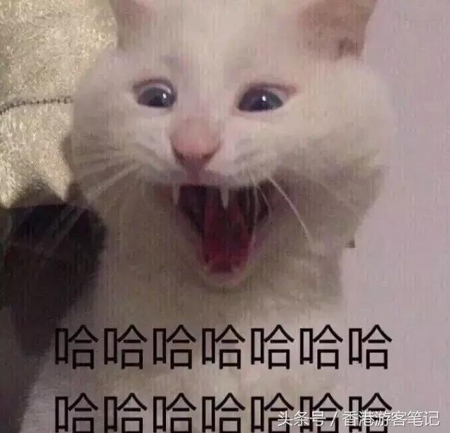 香港最新潮鞋,香港最潮的鞋子