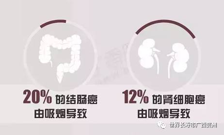 世界戒烟日｜连表情包都“戒烟”了，你做好对*草烟**Sayno的准备了吗？