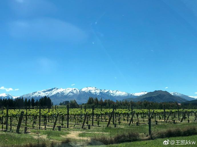 新西兰南北岛10天之旅,自驾游新西兰南北岛攻略