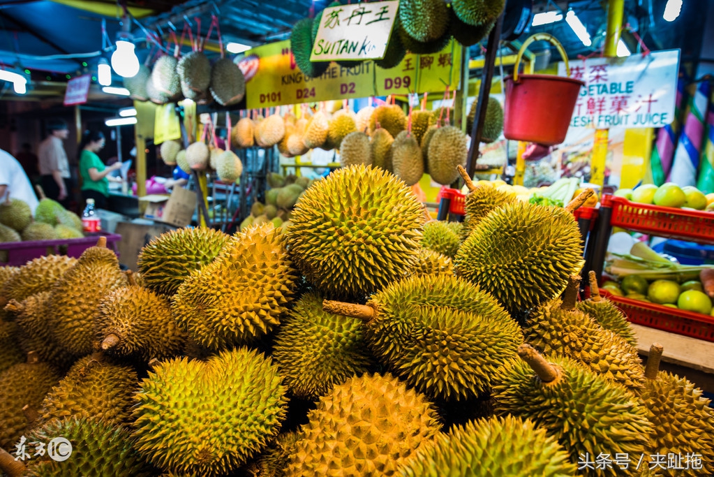 马来西亚旅游攻略必备物品,去马来西亚定居需要什么条件