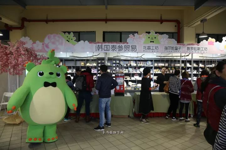 公认最美4种多肉植物图片,2014年上海多肉植物展图片