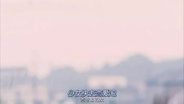 你的双十一够香了吗,双十一没买你真的亏了吗