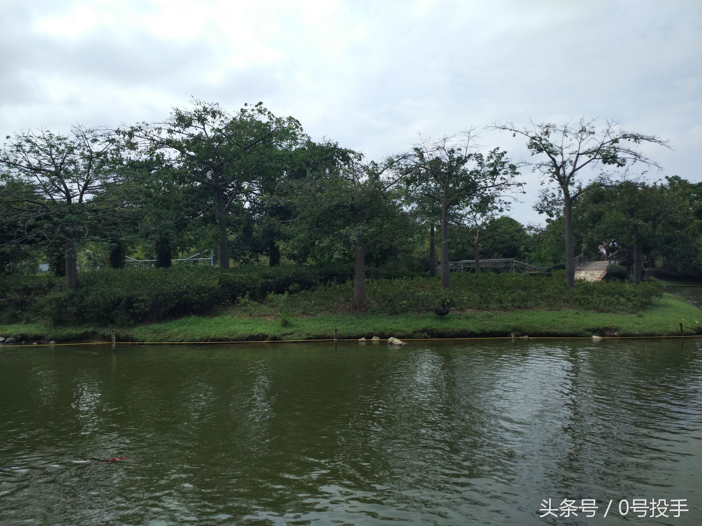 佛冈森波拉奇妙世界图片,森波拉奇妙世界景区