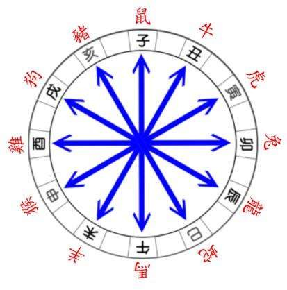 十二生肖五行及命理详解,十二生肖自身五行和年份五行区别