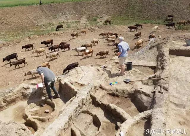 ff15最强料理,ff15金枪鱼料理