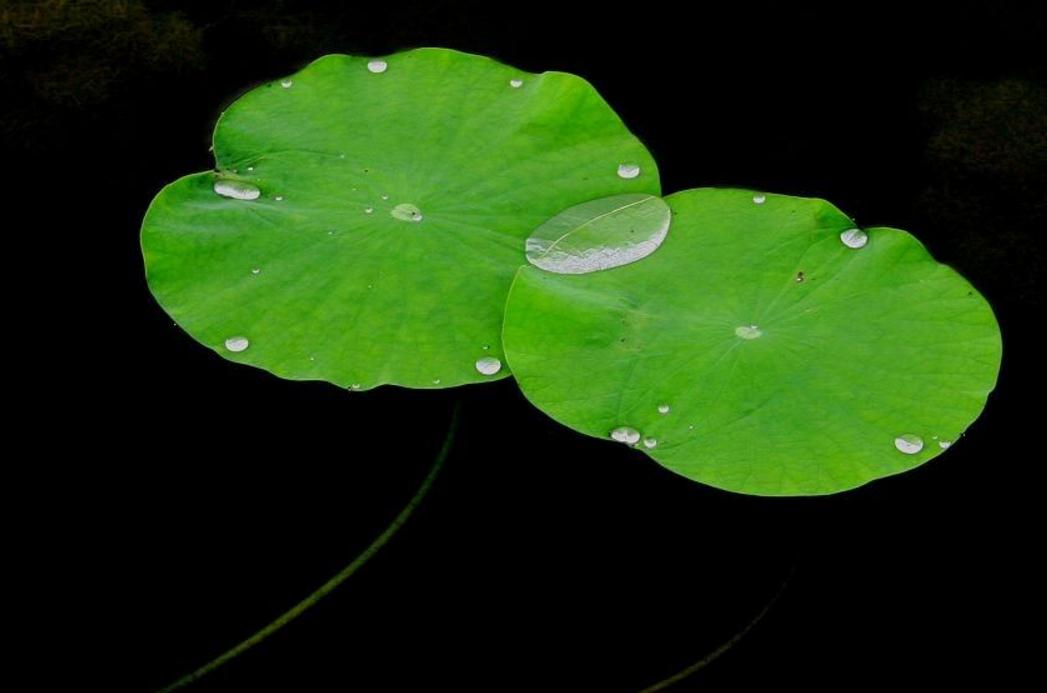 避免在沟里翻船,避免翻船攻略