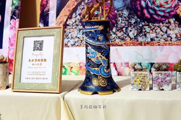 公认最美4种多肉植物图片,2014年上海多肉植物展图片