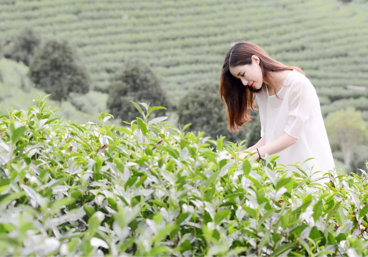 溧阳最美民宿推荐,溧阳绝美民宿