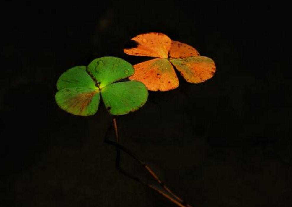 做人一定要提防小人,做人要小心谨慎