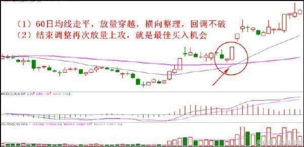 股票中真正的高手是怎样抓牛股的,抓龙头股票技巧和方法是什么