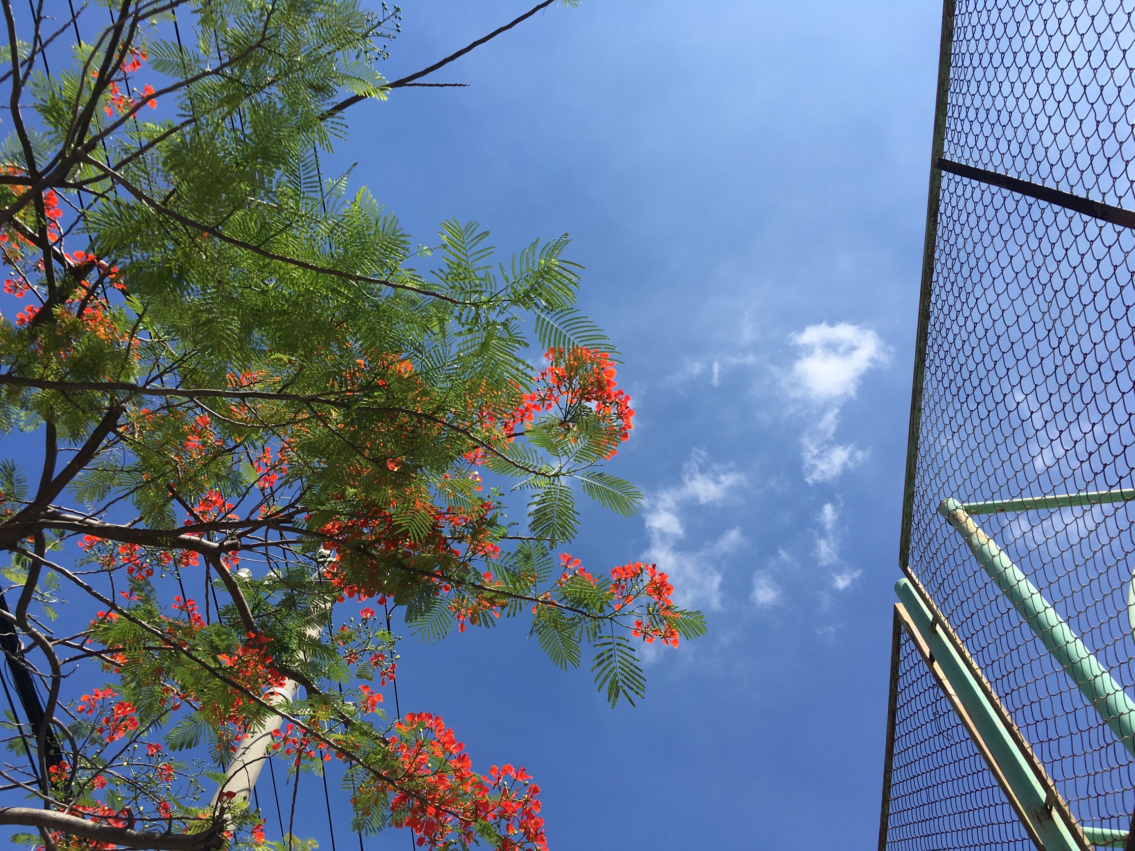 越南岘港旅游攻略头条搜索,越南岘港4日游旅游报价