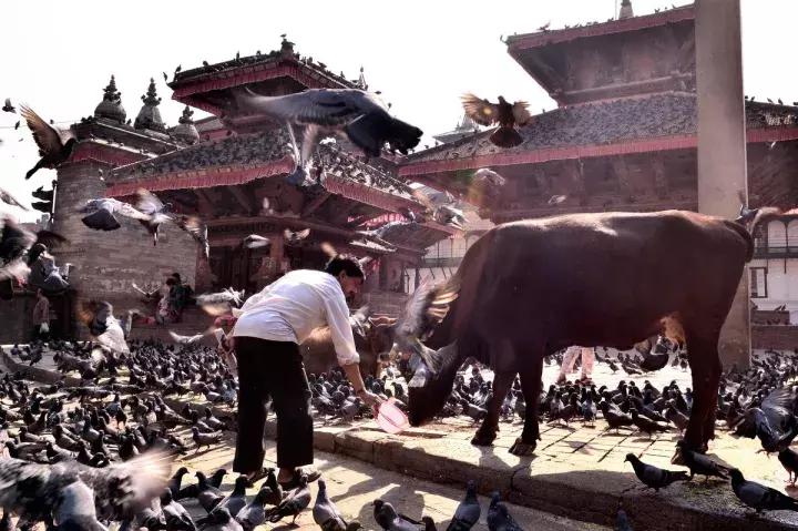 没去过尼泊尔旅游,没有去过西藏更没去过吉隆坡