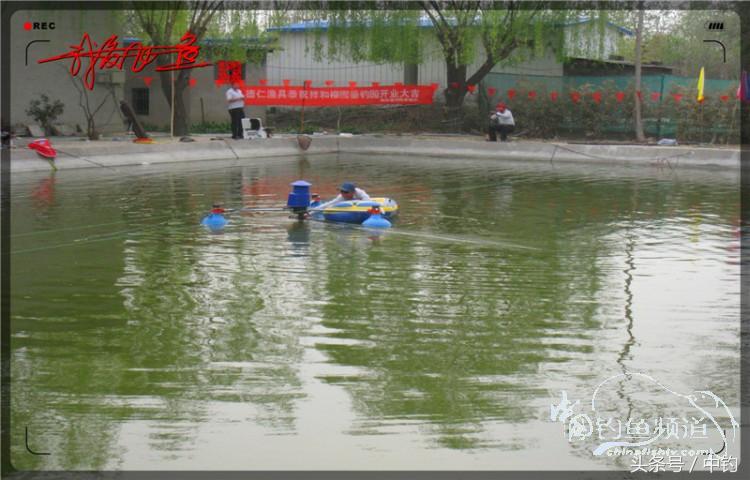 朋友相聚钓罗非,好友们相约一起钓鱼视频