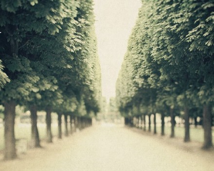 最近很喜欢的一段话建议收藏,喜欢记得点赞收藏的句子