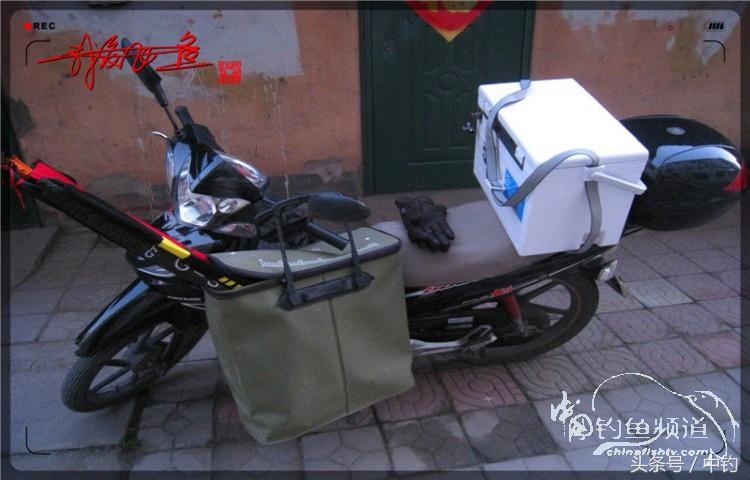 朋友相聚钓罗非,好友们相约一起钓鱼视频