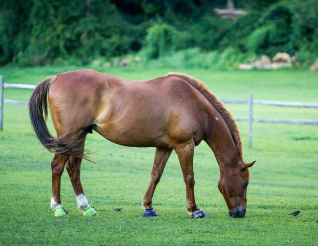 蓬莱是一个风景如画的地方,山东蓬莱有人间仙境吗