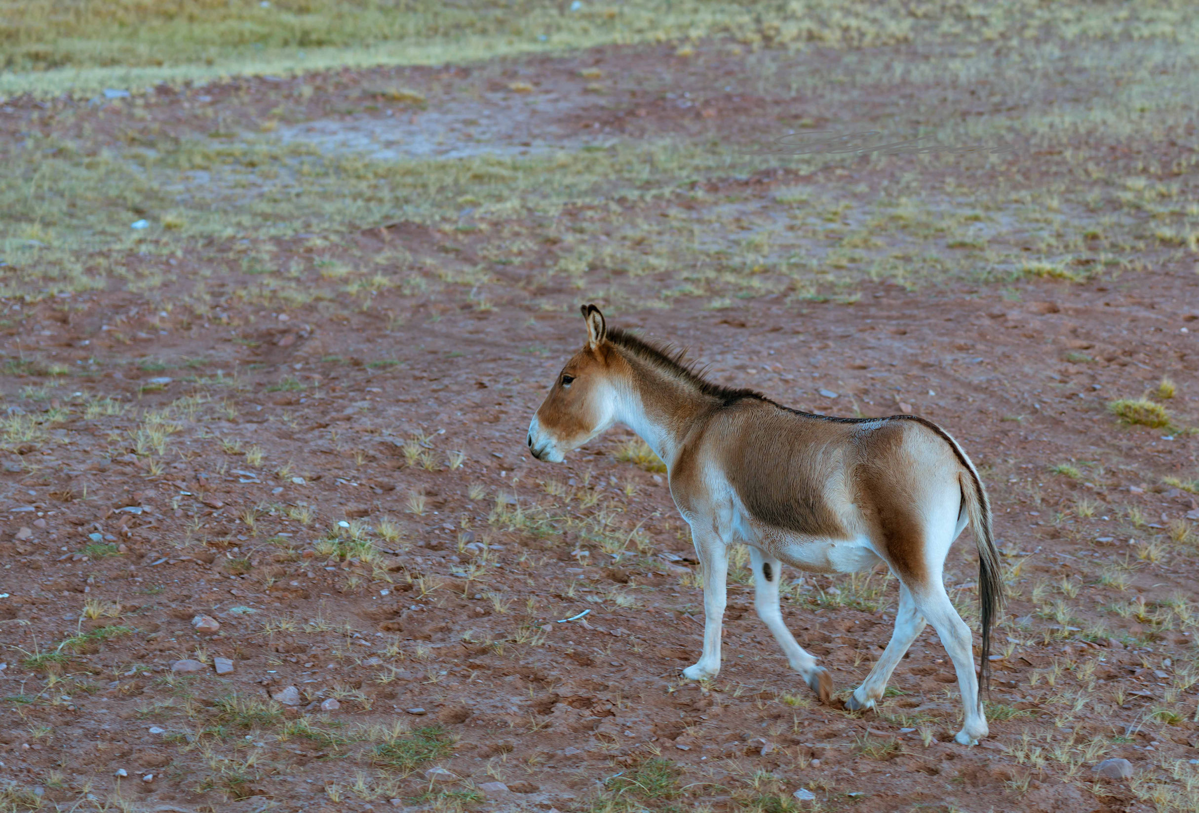 青藏线出西藏自驾攻略,出藏109国道自驾攻略